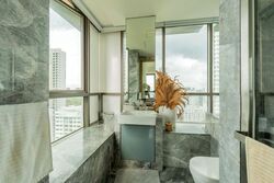 Skyline Residences (D4), Condominium #610647951